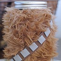 Chewbacca Savings Bank